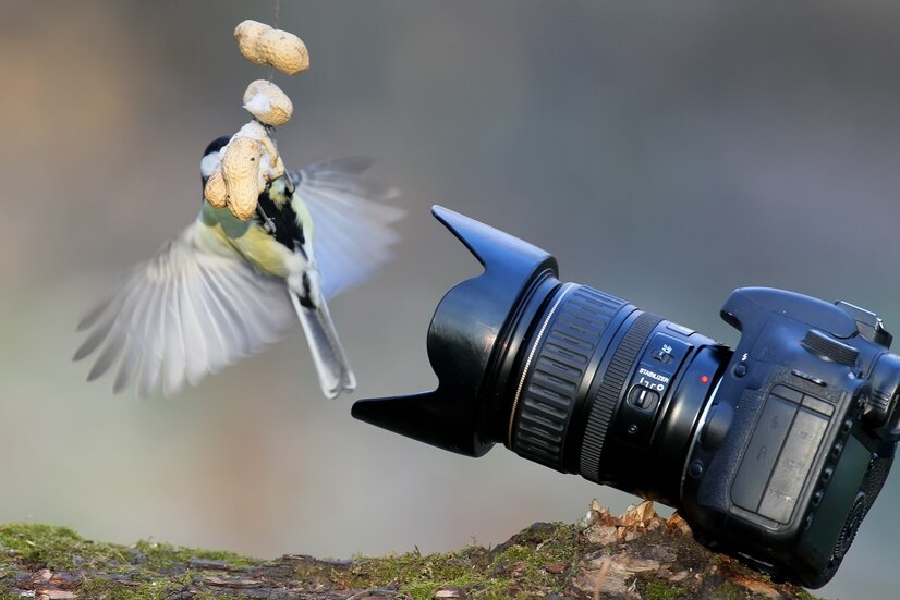 blog-detail-img